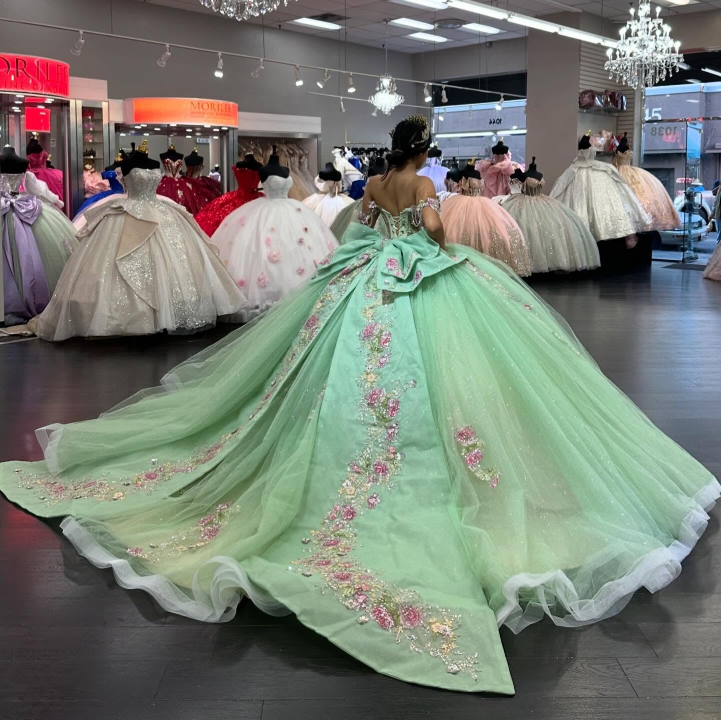 Princess Ball Gown Tulle Appliqued Beaded Quinceanera Dresses with Bow HE677