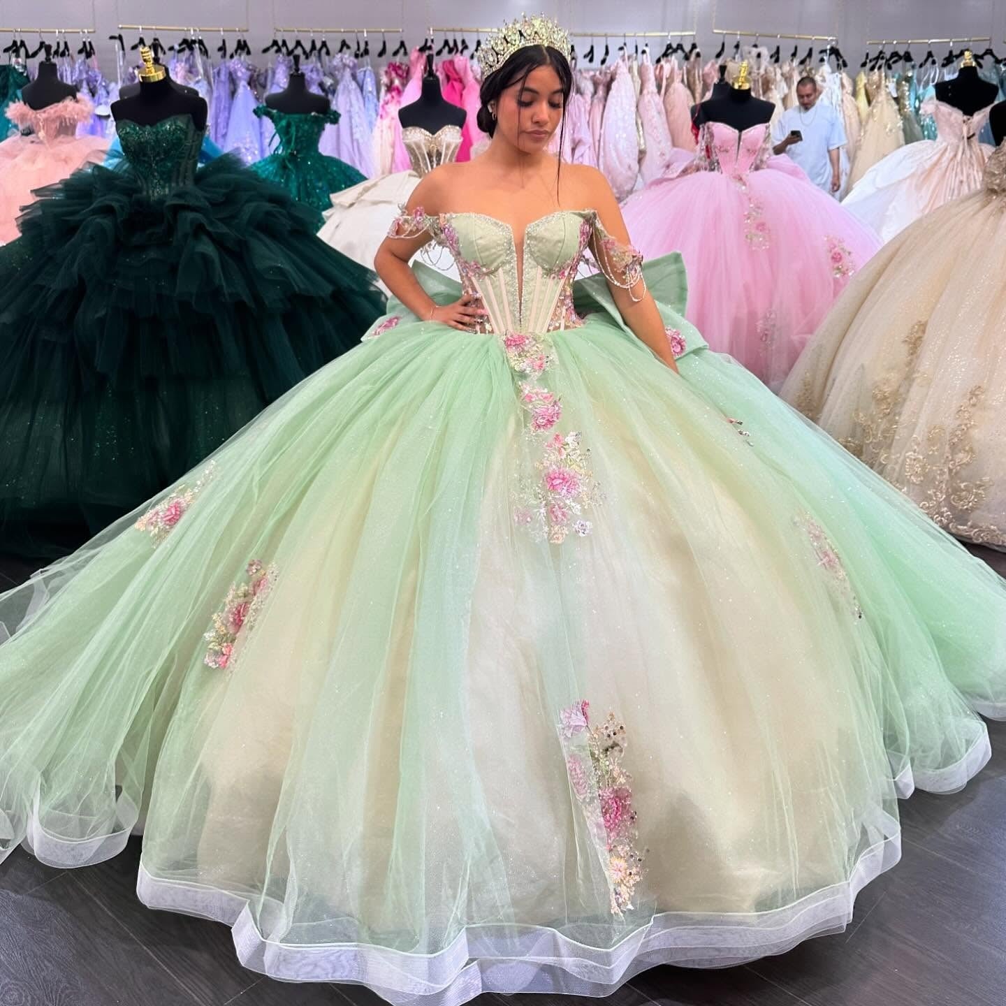 Princess Ball Gown Tulle Appliqued Beaded Quinceanera Dresses with Bow HE677