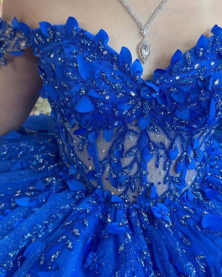 Royal Blue Quinceanera Dresses Tulle Beaded Lace Sweet 16 Birthday Party Gowns HE078