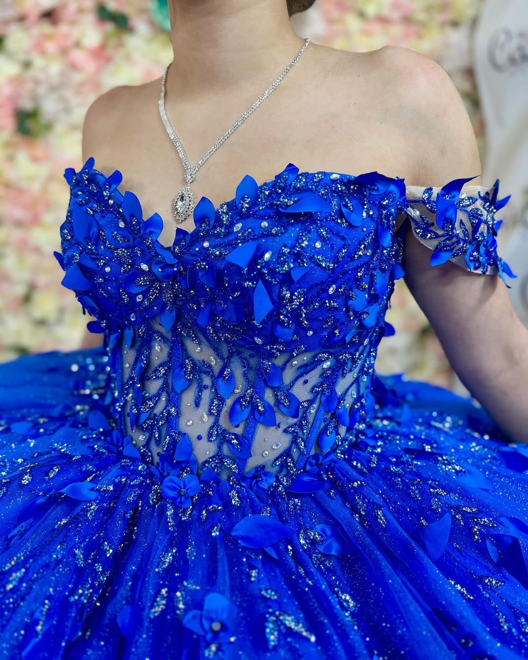 Royal Blue Quinceanera Dresses Tulle Beaded Lace Sweet 16 Birthday Party Gowns HE078