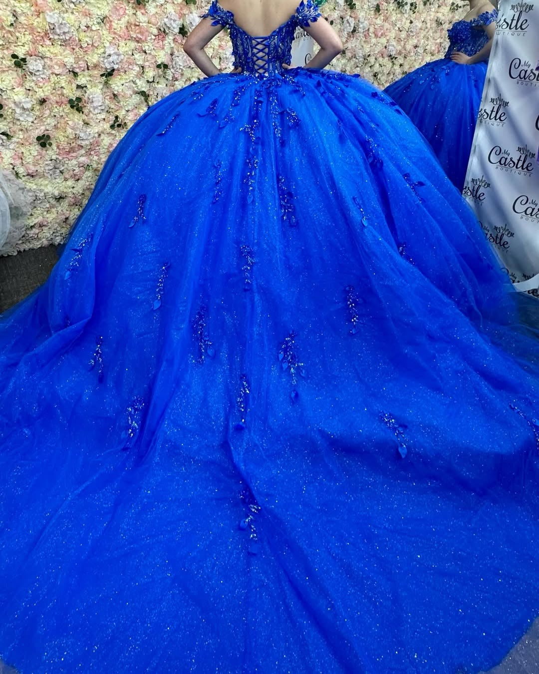 Royal Blue Quinceanera Dresses Tulle Beaded Lace Sweet 16 Birthday Party Gowns HE078