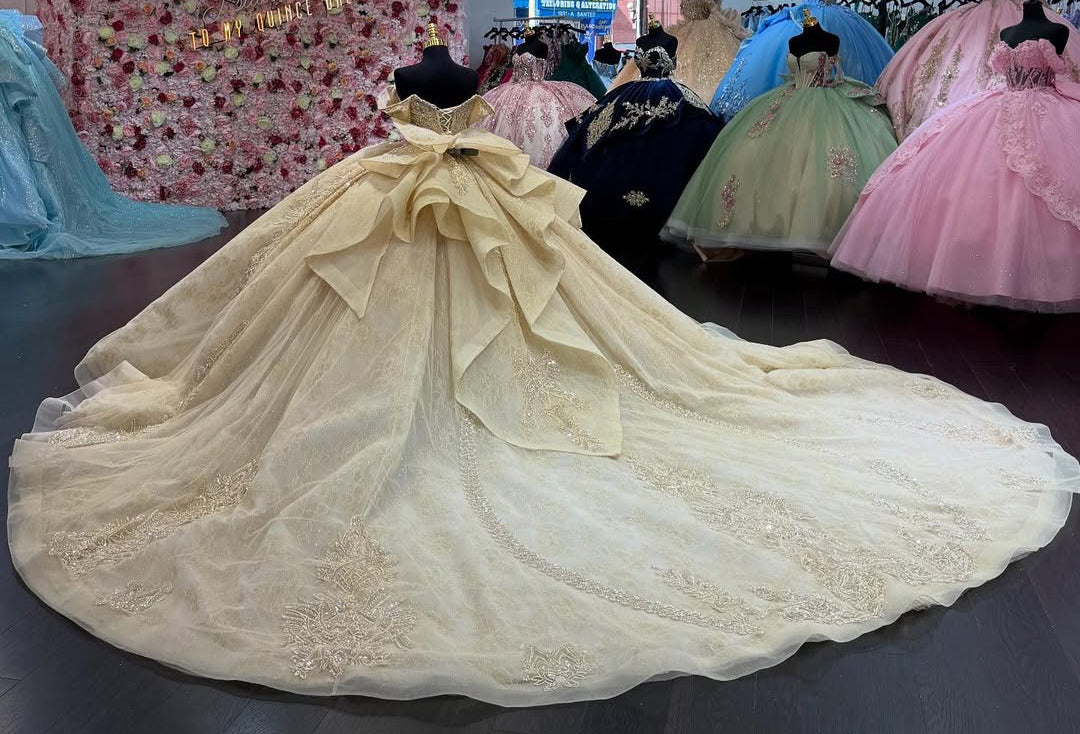 Vestidos de quinceañera con hombros descubiertos, tul princesa, apliques, vestidos de quinceañera HE530