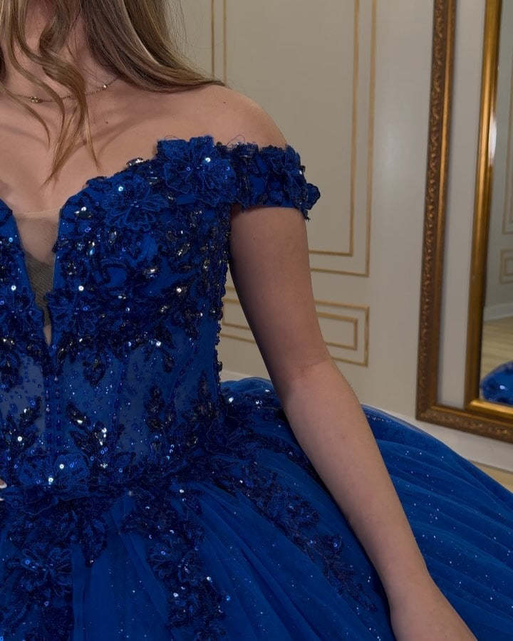 Royal Quinceanera Dresses Tulle Lace Beaded Sweet 16 Birthday Party Dresses HE066