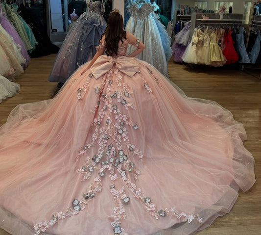 Blush Sweet 16 Quinceanera Dresses Tulle 3d Flowers Beaded Party Dresses HE315
