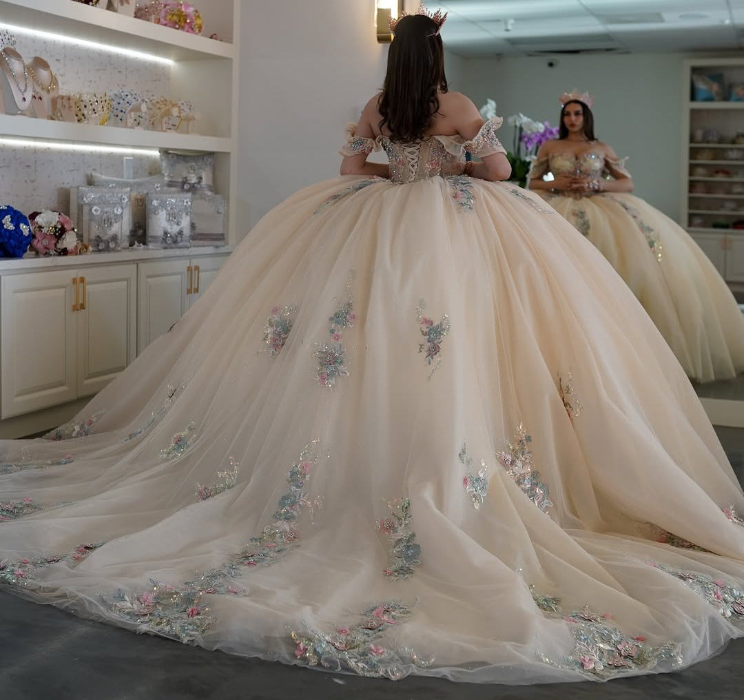 HE090-Vestido de quinceañera con tul color champán, encaje y cuentas, vestido de fiesta con apliques, hombros descubiertos, para fiesta de cumpleaños y graduación