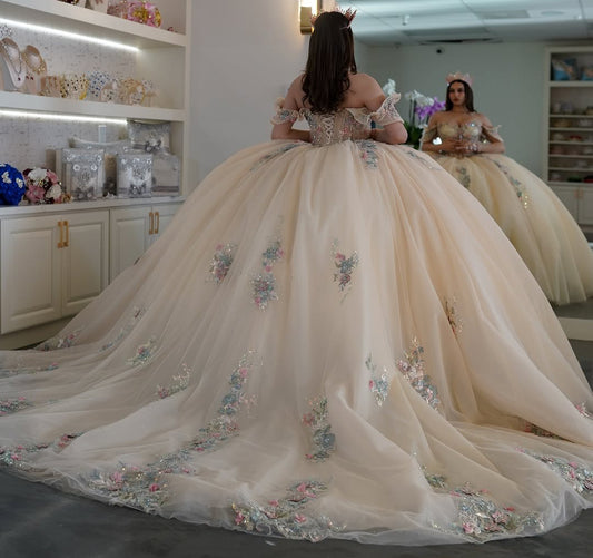 Champagne Tulle Lace Beaded Quinceanera Dresses Appliqued Sweet 16 Party Dress HE090