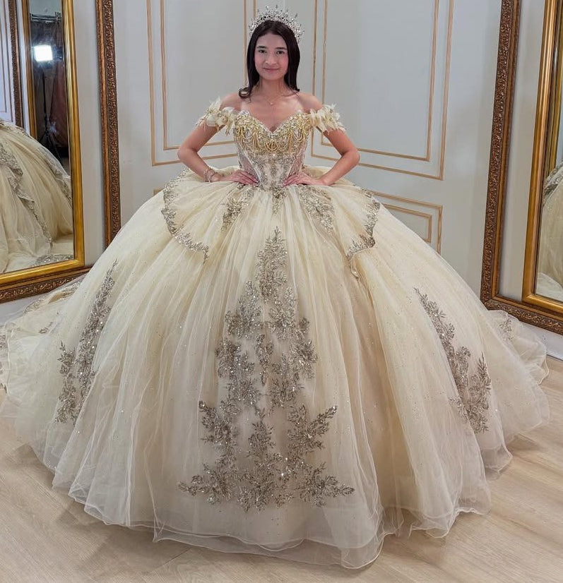 HE050-Champagne Ball Gown Lace Beaded Quinceanera Dresses Appliques Off Shoulder Birthday Party Gown for Sweet 16