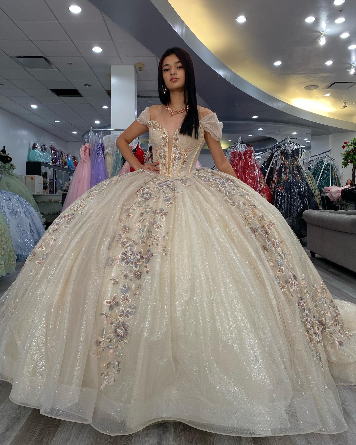 Vestidos de quinceañera con apliques de tul brillante, color champán, para fiesta de dulces 16, HE527