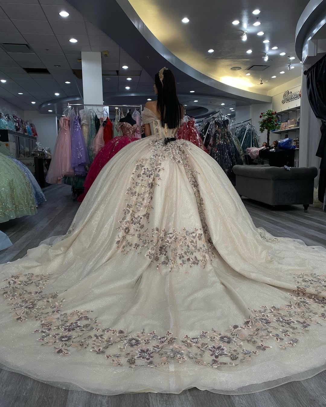 Vestidos de quinceañera con apliques de tul brillante, color champán, para fiesta de dulces 16, HE527