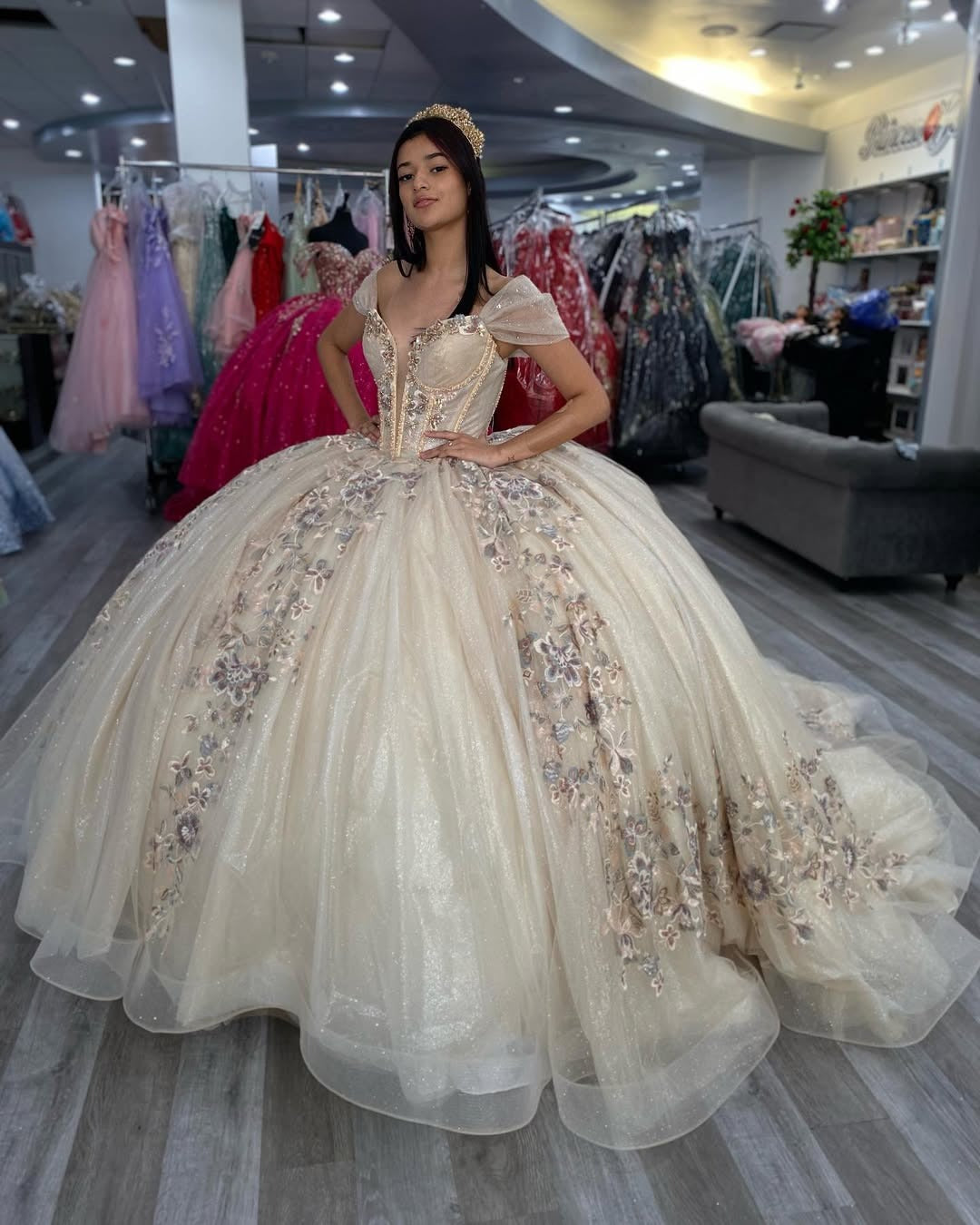 Vestidos de quinceañera con apliques de tul brillante, color champán, para fiesta de dulces 16, HE527