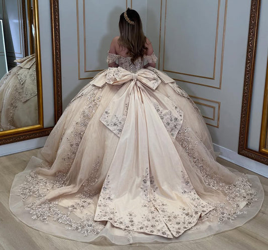 Champagne Tulle Appliques Quinceanera Dresses Princess Sweet 16 Party Dresses HE376