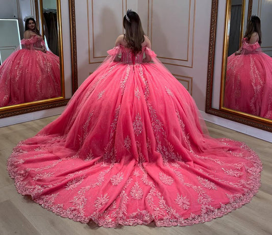 Princess Sweet 16 Quinceanera Dresses Tulle Appliques Birthday Party Gowns HE375