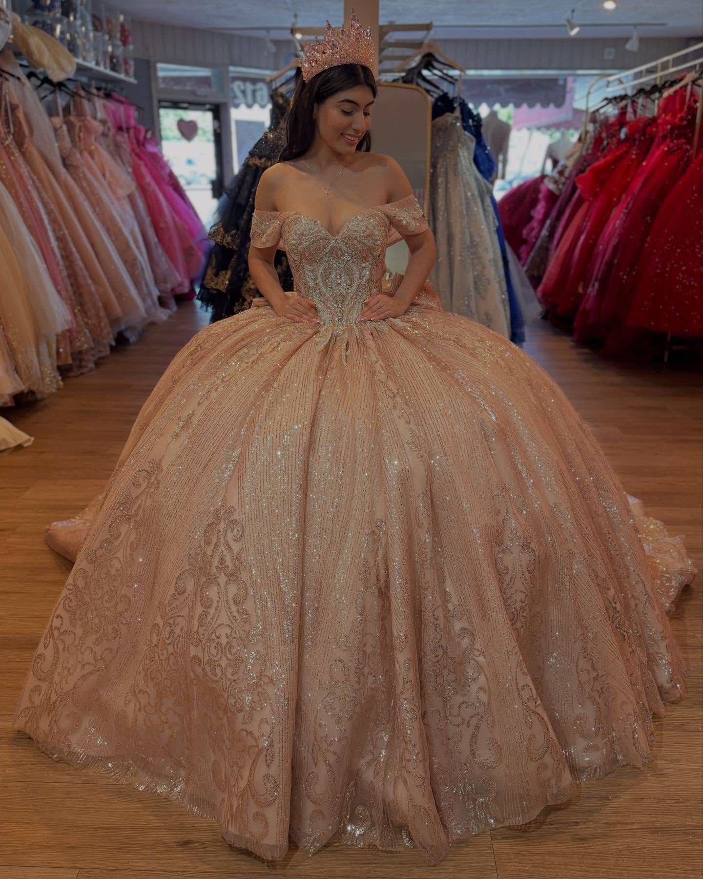 Princess Sweet 16 Quinceanera Dresses Glittery Tulle Appliques Prom Party Gowns HE371
