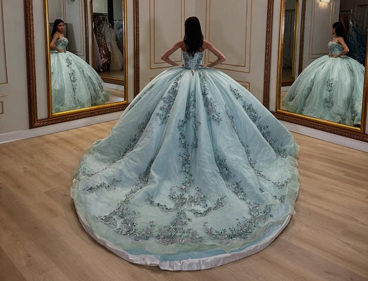 Sweetheart Princess Quinceanera Dresses Tulle Appliques Sweet 16 Party Dresses HE422