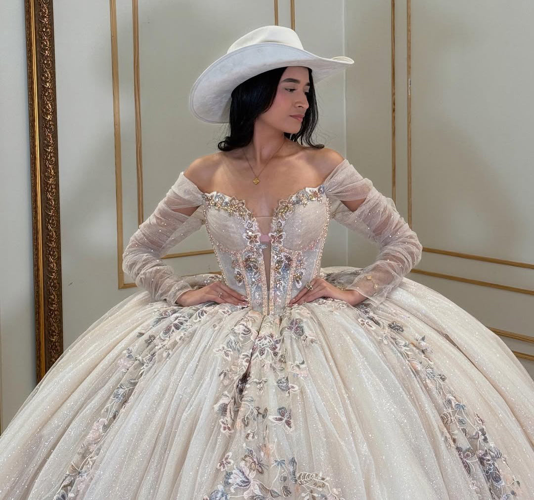 Long Sleeves Princess Quinceanera Dresses Sweet 16 Tulle Appliques Party Gown HE437