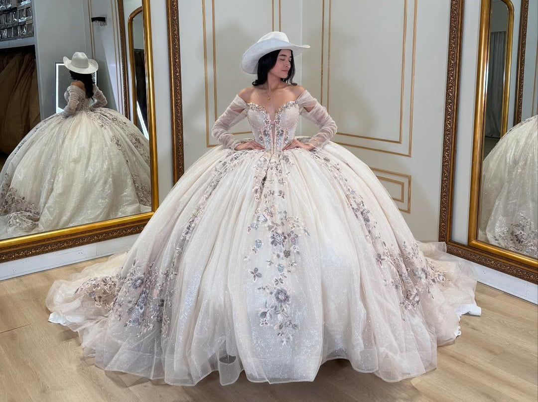 Long Sleeves Princess Quinceanera Dresses Sweet 16 Tulle Appliques Party Gown HE437