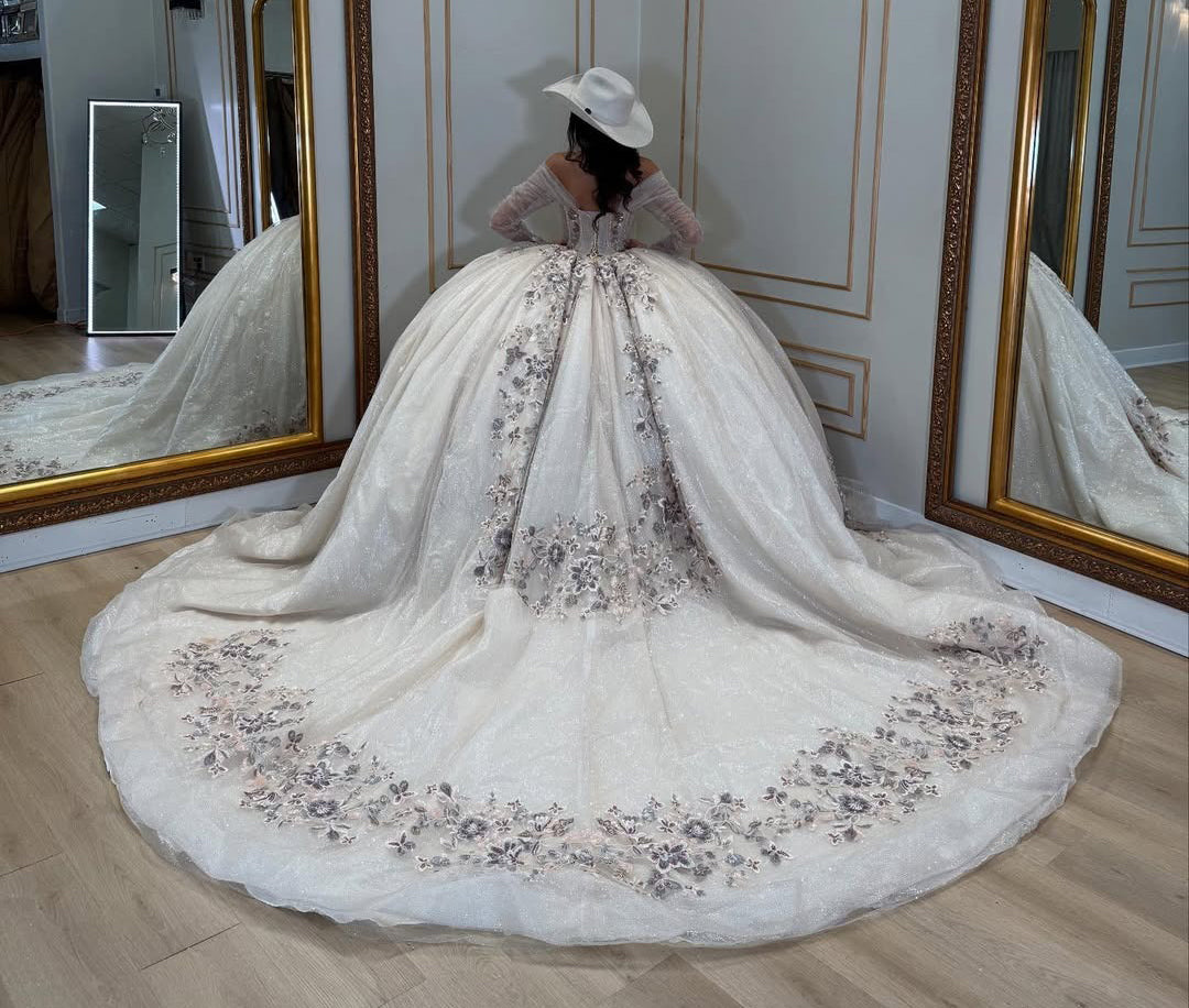 Long Sleeves Princess Quinceanera Dresses Sweet 16 Tulle Appliques Party Gown HE437