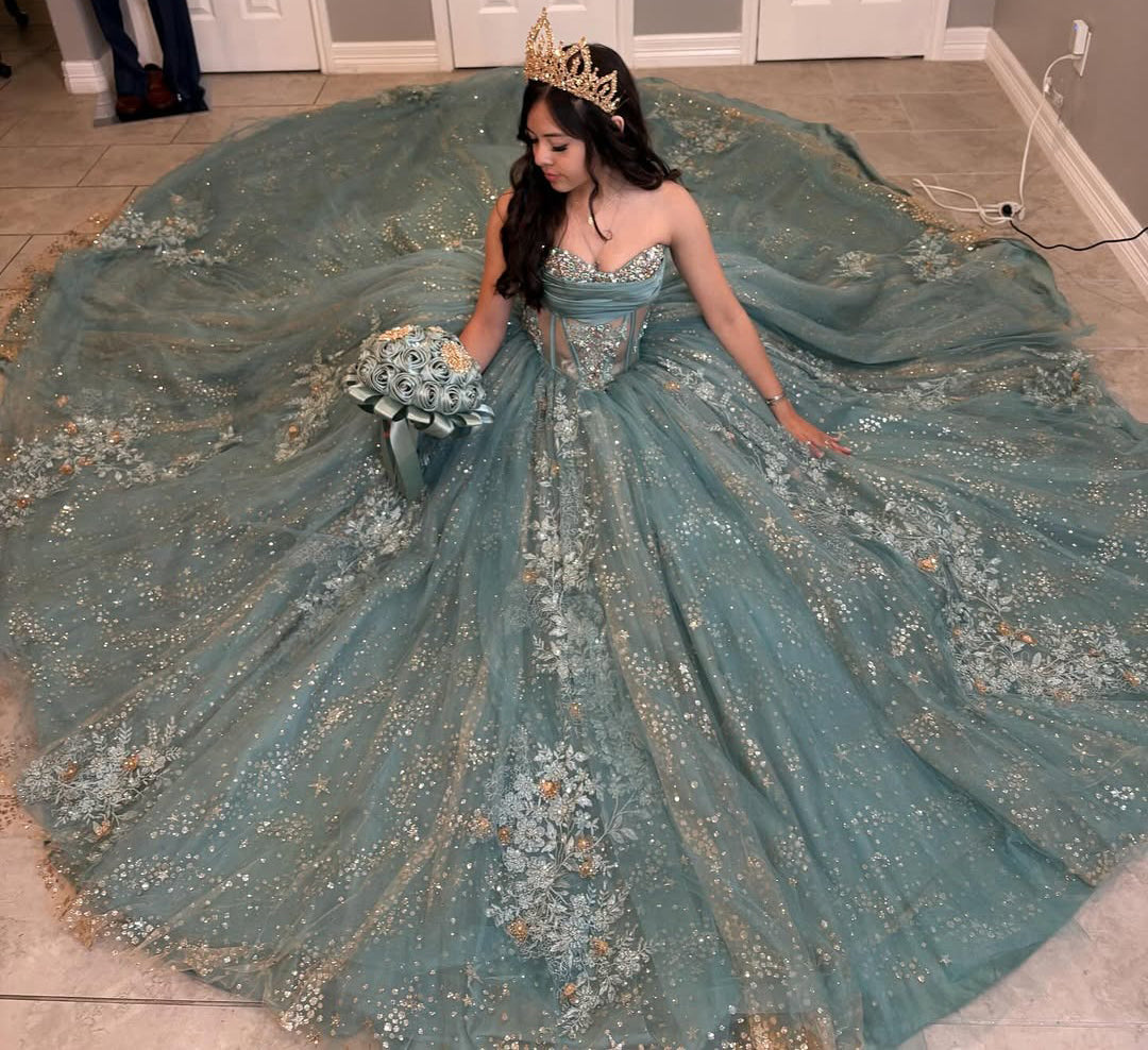 Vestidos de quinceañera con hombros descubiertos, tul princesa, apliques, vestidos de quinceañera HE530