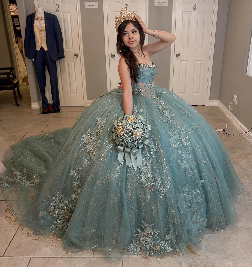 Vestidos de quinceañera con hombros descubiertos, tul princesa, apliques, vestidos de quinceañera HE530