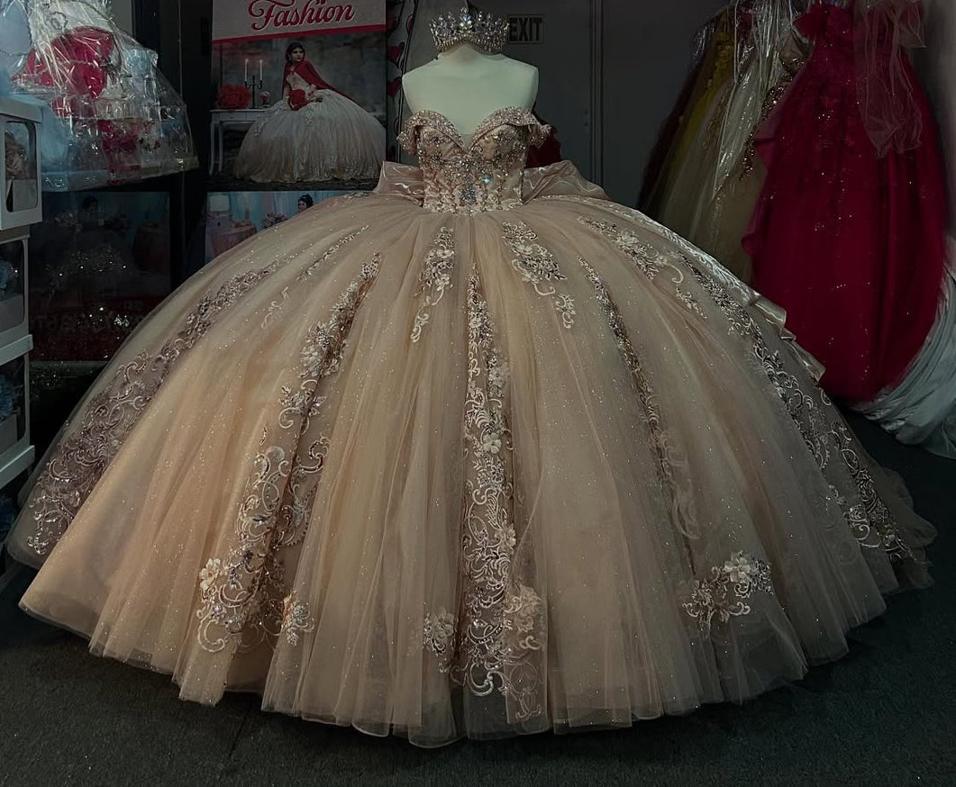 Champagne Ball Gown Tulle Lace Appliqued Glittery Quinceanera Dresses HE809