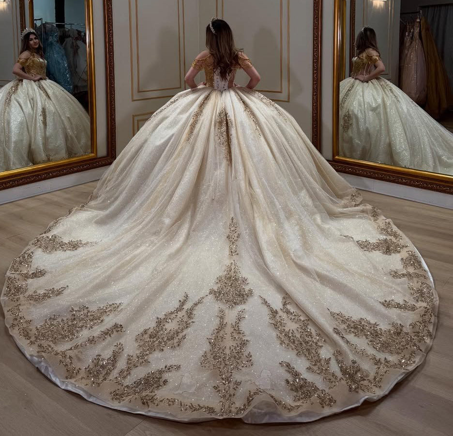 Vestidos de quinceañera con hombros descubiertos, tul princesa, apliques, vestidos de quinceañera HE530