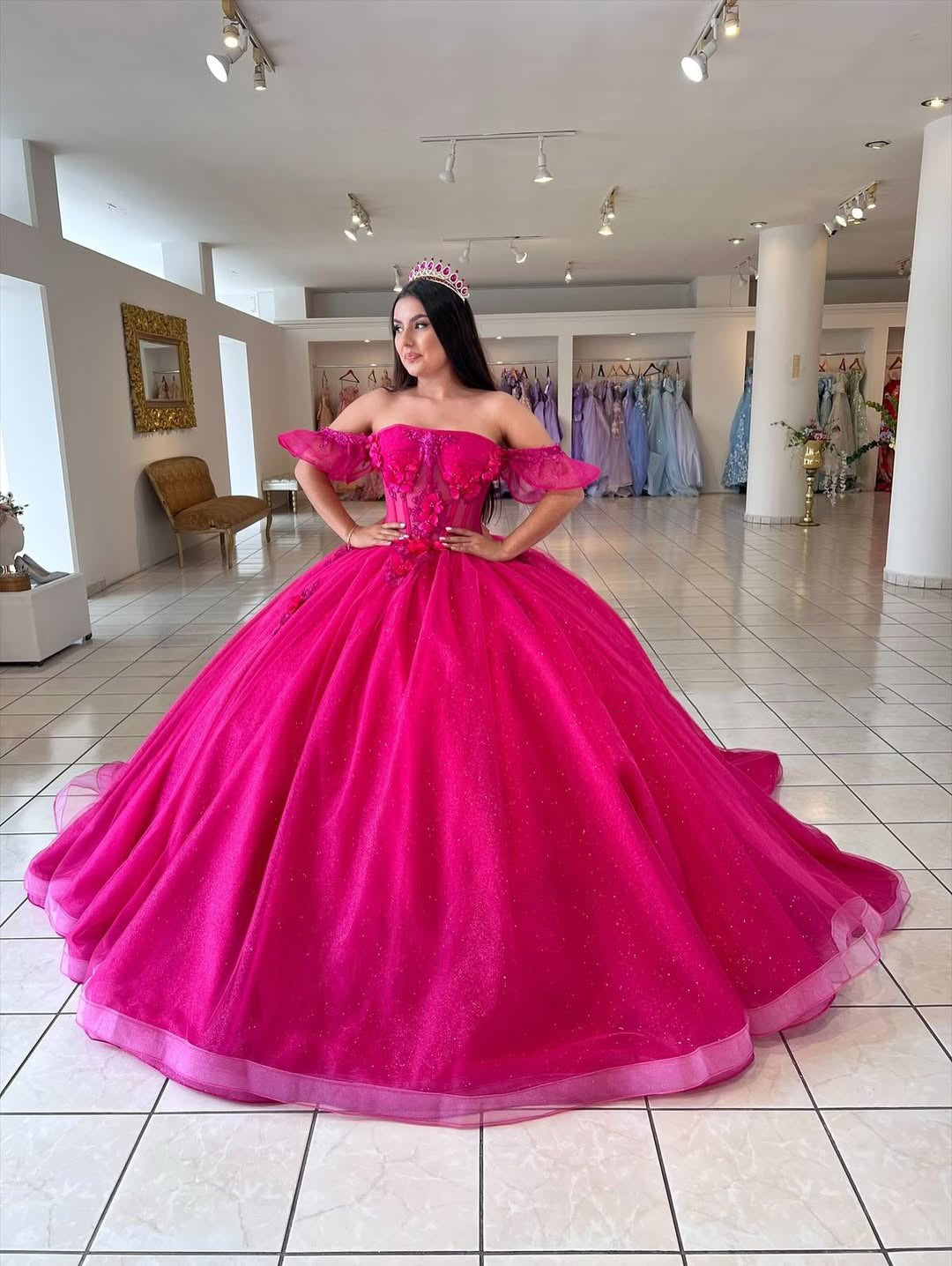 Fuchsia Glittery Tulle Princess Ball Gown Appliqued Beaded Quinceanera Dresses HE694