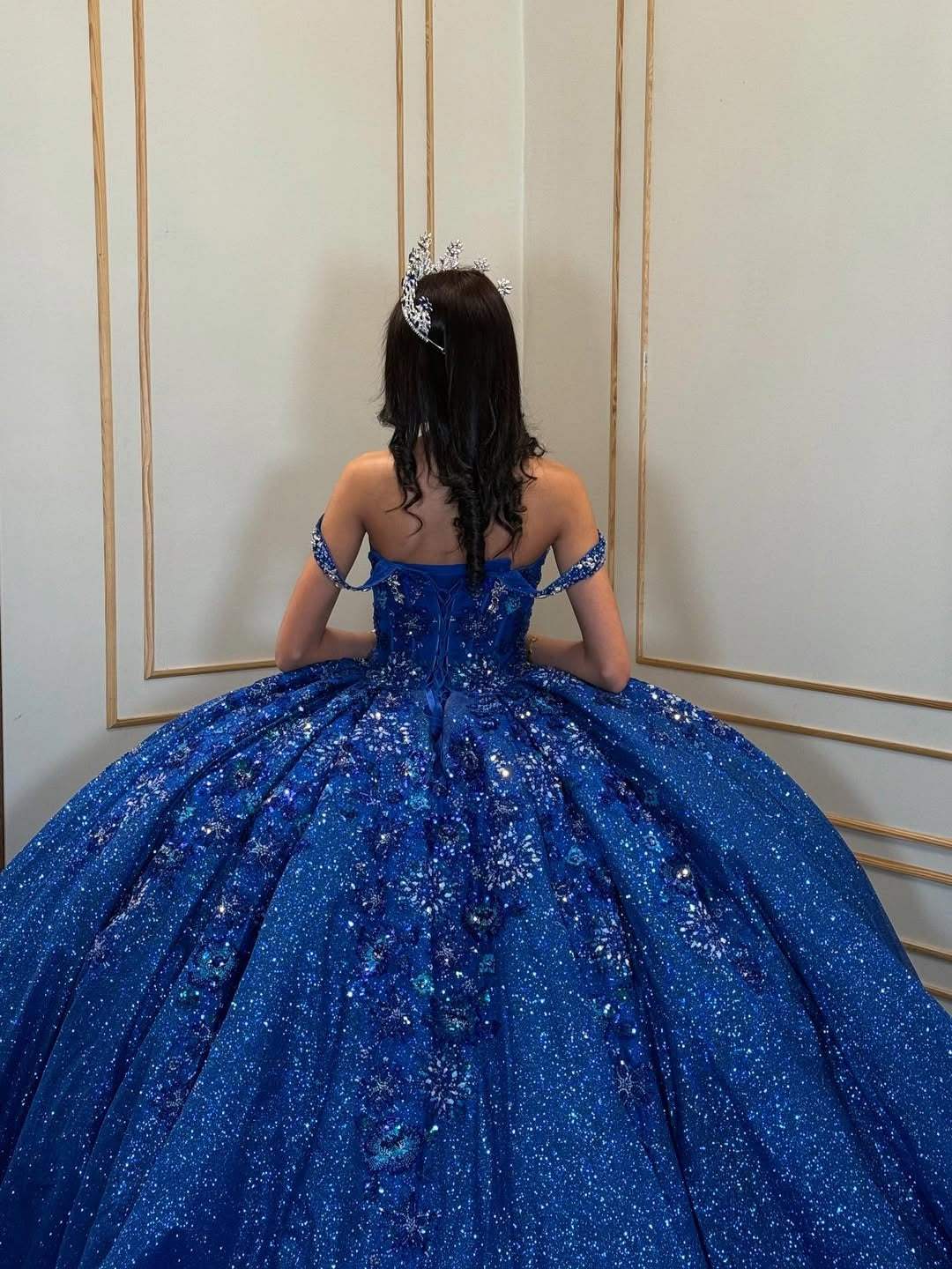 Glittery Tulle Lace Beaded Ball Gown Quinceanera Dresses for Sweet 16 HE686