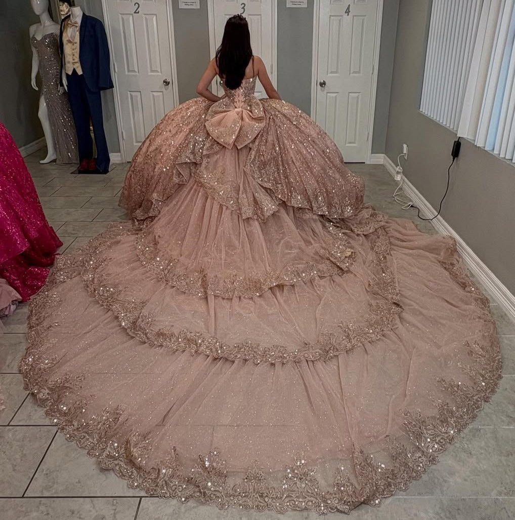 Sweetheart Glittery Tulle Sequin Beaded Quinceanera Dresses with Long Train HE815