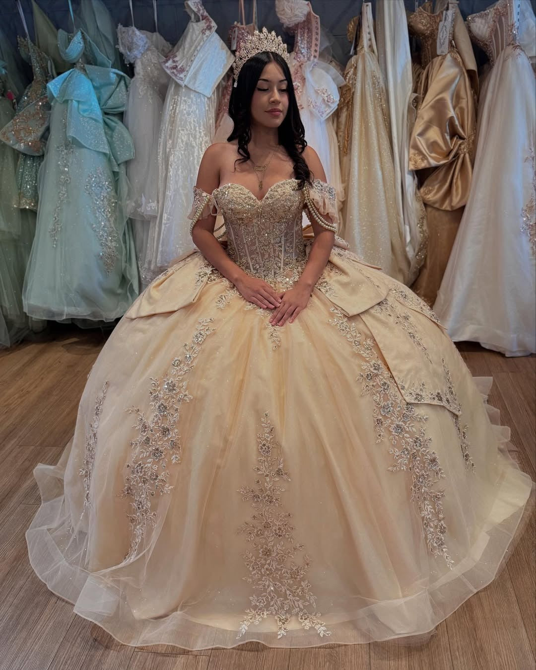 Vestidos de quinceañera con hombros descubiertos, tul princesa, apliques, vestidos de quinceañera HE530
