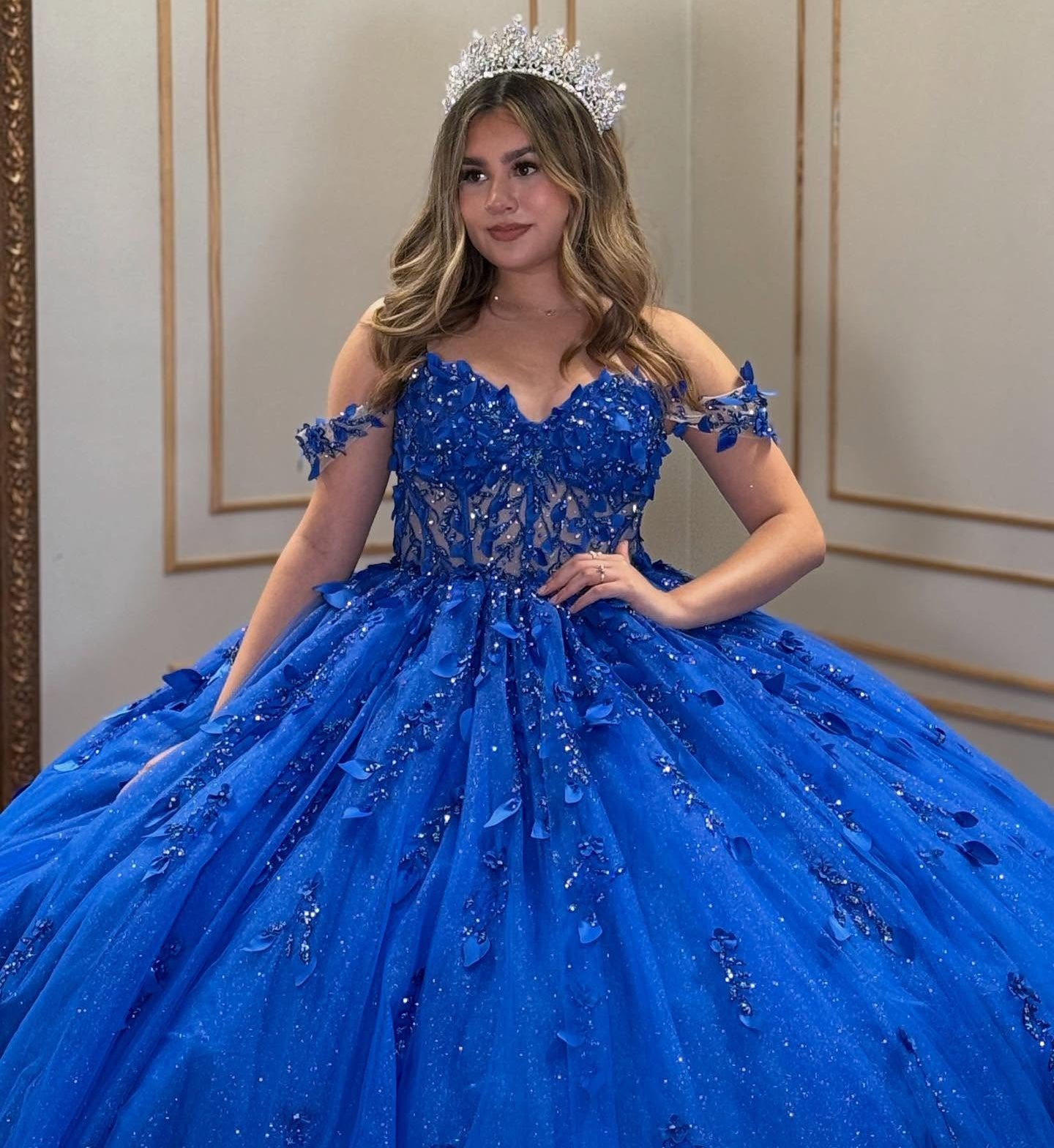Off Shoulder Corset Tulle 3d Flowers Royal Quinceanera Dresses for Sweet 16 Birthday HE910