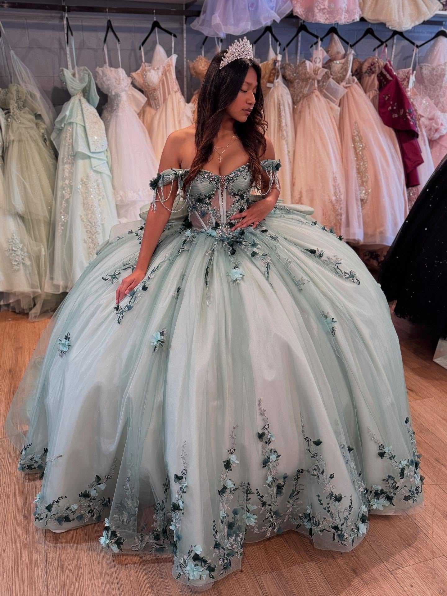 Princess Ball Gown Tulle Corset 3D Flowers Sweet 16 Quinceanera Dresses HE895