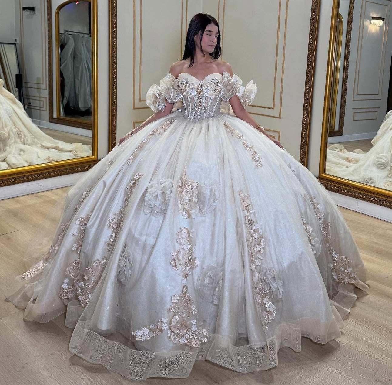 Ball Gown Sweetheart Tulle Appliqued Quinceanera Dresses Sweet 16 Birthday Party Gowns HE1066