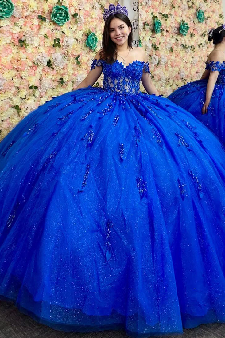 Royal Blue Quinceanera Dresses Tulle Beaded Lace Sweet 16 Birthday Party Gowns HE078