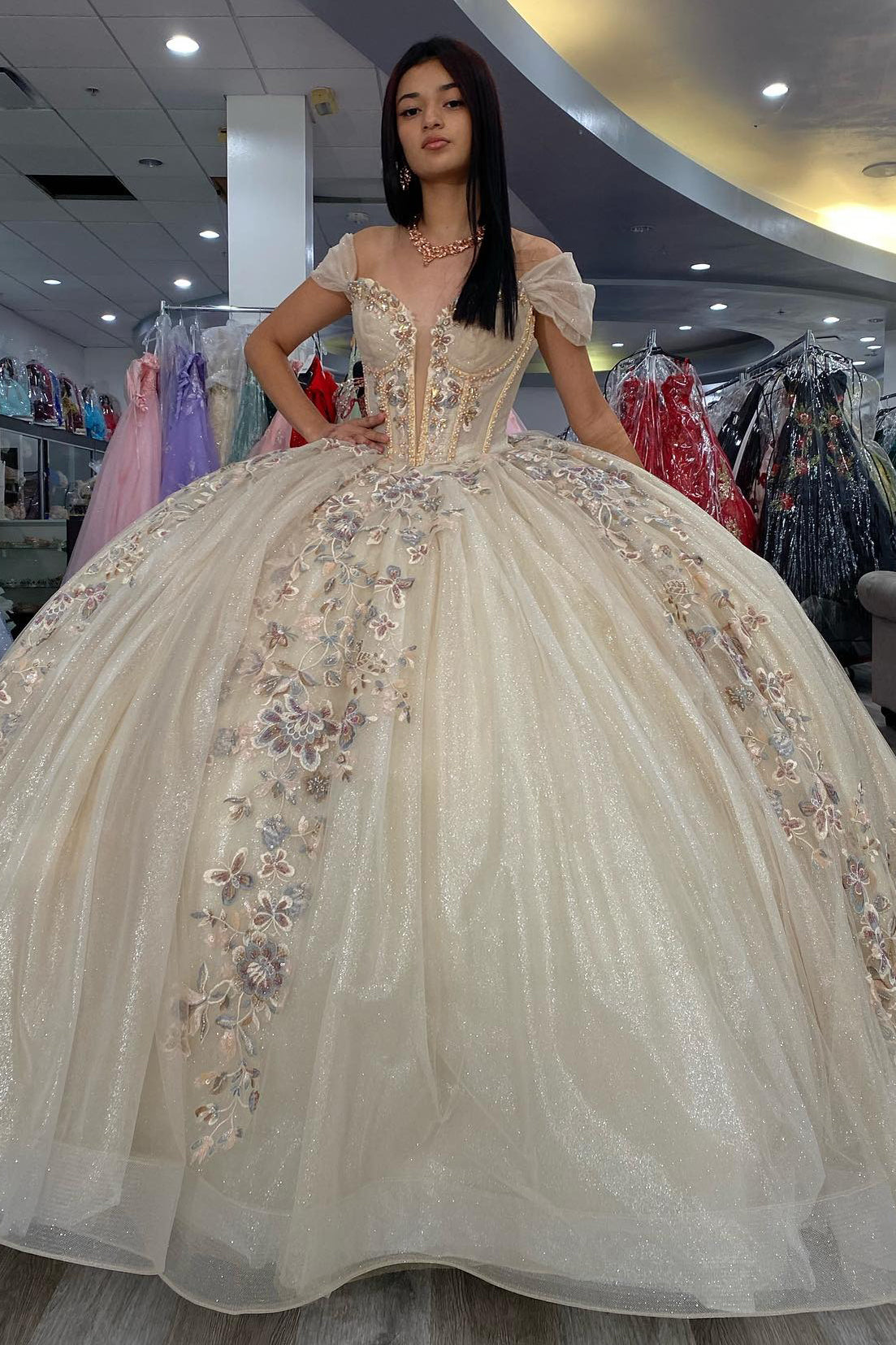 Vestidos de quinceañera con apliques de tul brillante, color champán, para fiesta de dulces 16, HE527