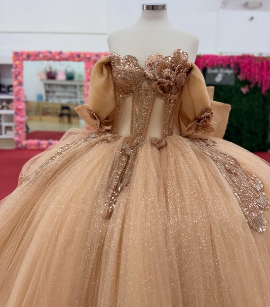 Glittery Tulle Lace Appliqued Champagne Quinceanera Dresses Sweet 16 Party Gown HE1556