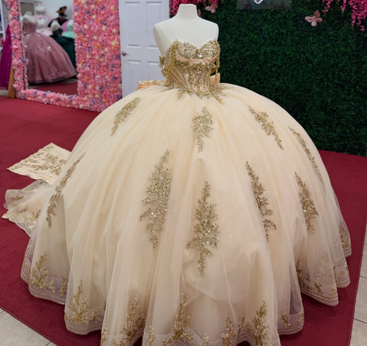 Princess Champagne Tulle Appliqued Beaded Sweet 15 Quinceanera Dresses HE1563