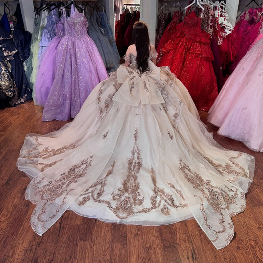 Gorgeous Tulle Appliqued Champagne Quinceanera Dresses Sweet 15 Lace Party Gown HE1405