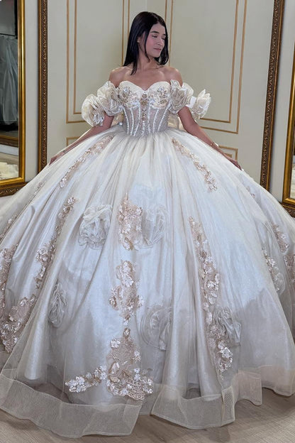 Ball Gown Sweetheart Tulle Appliqued Quinceanera Dresses Sweet 16 Birthday Party Gowns HE1066