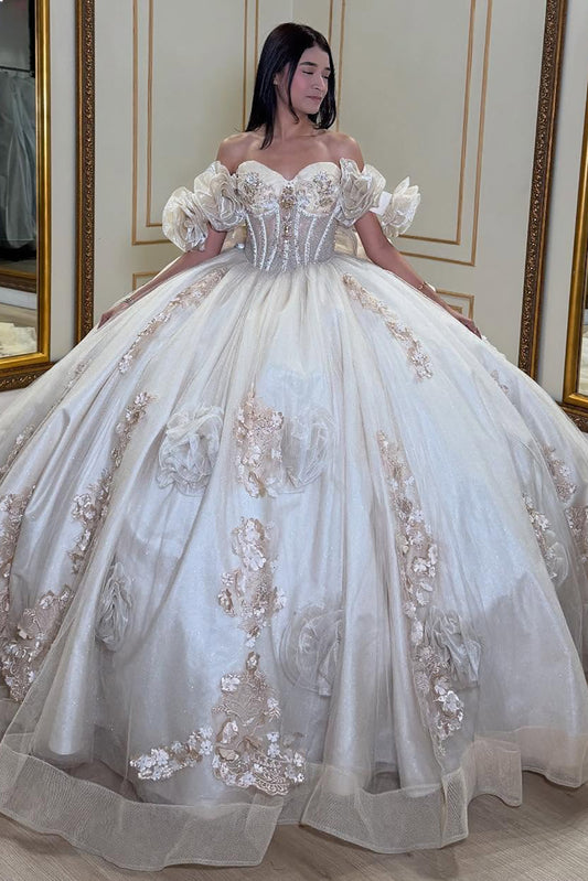 Ball Gown Sweetheart Tulle Appliqued Quinceanera Dresses Sweet 16 Birthday Party Gowns HE1066