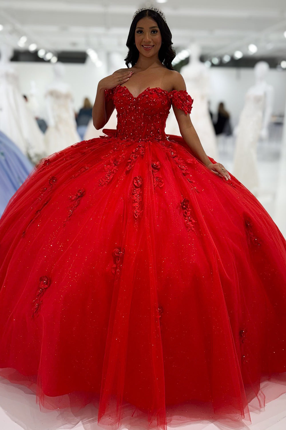 Princess Ball Gown Tulle Appliqued Quinceanera Dresses Sweet 16 Birthday Party Gowns HE1065