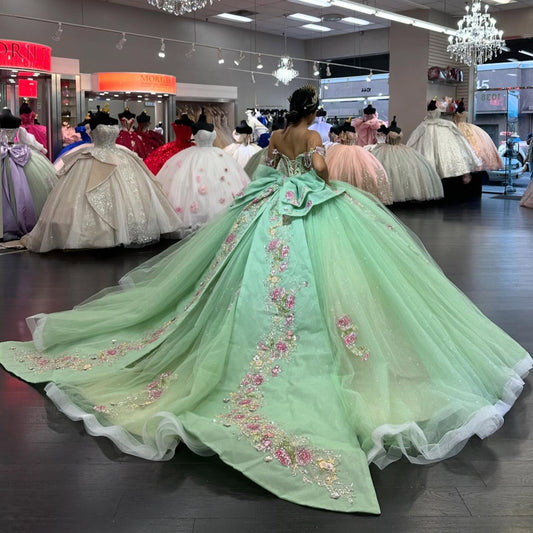 Princess Ball Gown Tulle Appliqued Beaded Quinceanera Dresses with Bow HE677