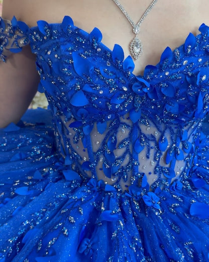 Royal Blue Quinceanera Dresses Tulle Beaded Lace Sweet 16 Birthday Party Gowns HE078