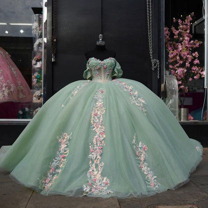 Off Shoulder Ball Gown Quinceanera Dresses Tulle Appliques Prom Gowns HE515