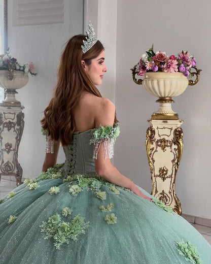 Vestidos de quinceañera con hombros descubiertos, tul princesa, apliques, vestidos de quinceañera HE530