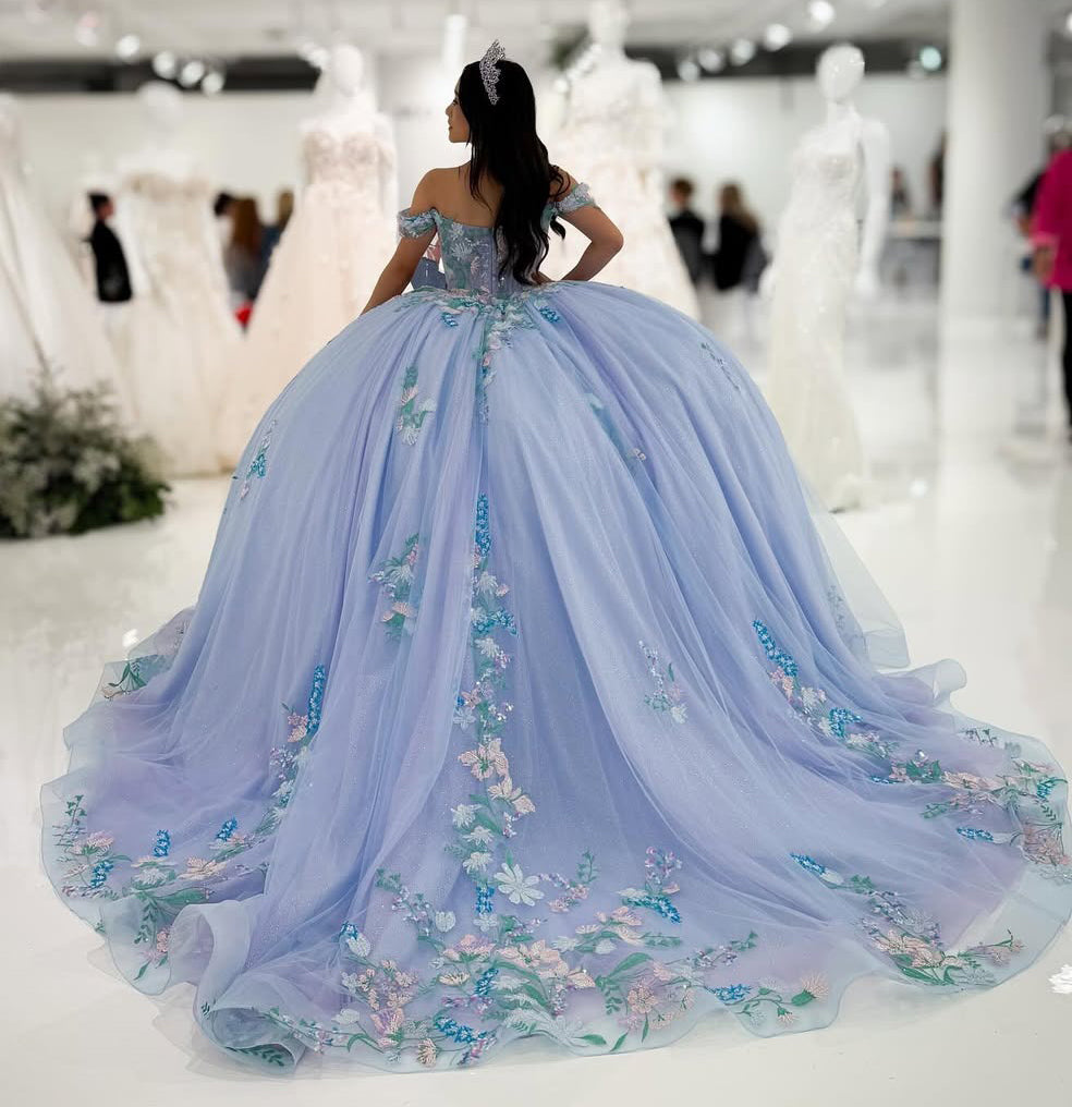 HE313-Princess Ball Gown Quinceanera Dresses Tulle Lace Appliques Sweet 16 Gowns Off Shoulder Birthday Party Dresses