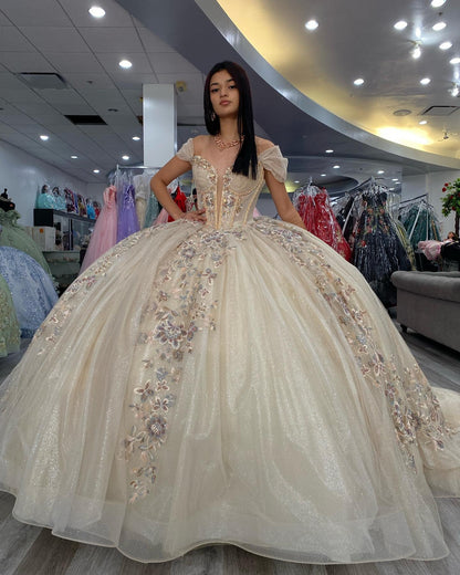 Vestidos de quinceañera con apliques de tul brillante, color champán, para fiesta de dulces 16, HE527