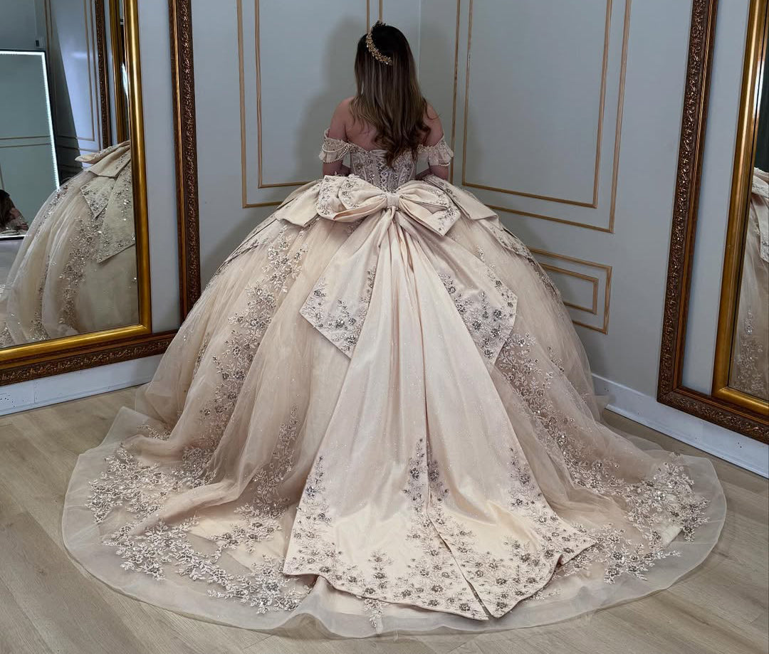 HE376-Champagne Tulle Appliques Quinceanera Dresses Ball Gown Princess Sweet 16 Birthday Prom Party Dresses