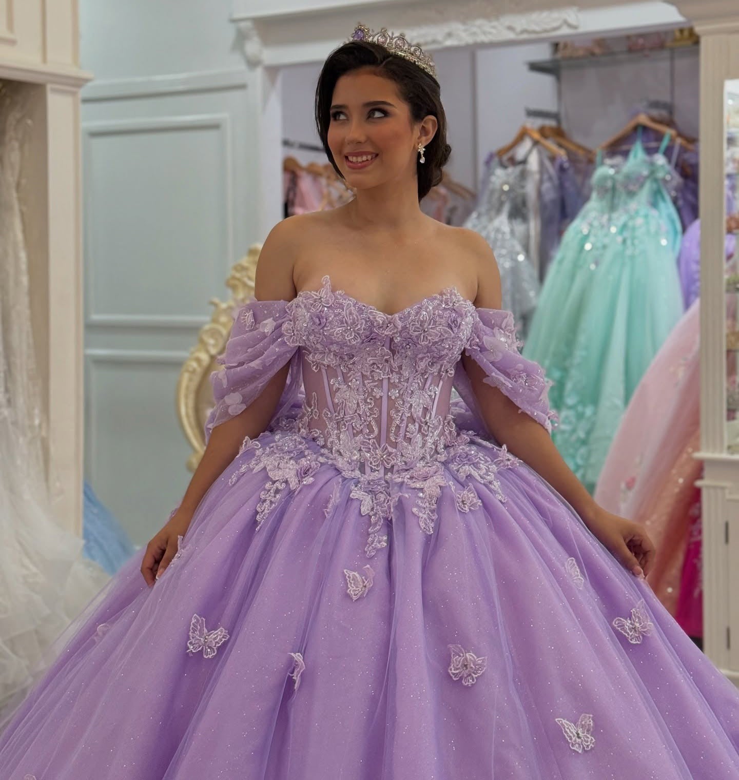 Gorgeous Princess Ball Gown Tulle 3D Flower Quinceanera Dresses for Sweet 16 Party HE1042