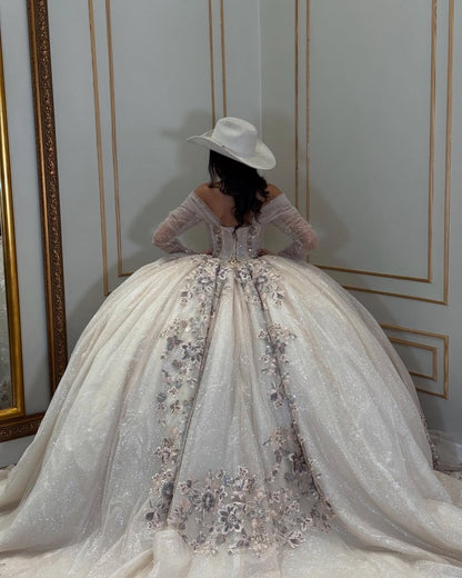 Vestido de quinceañera princesa de manga larga con apliques de tul para fiesta de dulces 16, HE437