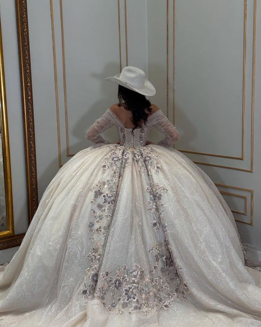 Vestido de quinceañera princesa de manga larga con apliques de tul para fiesta de dulces 16, HE437